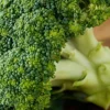 fresho! Broccoli, 1 pc (Approx. 250g-500g) - Image 2