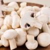 fresho! Mushrooms - Button, 1 pack (Approx. 180g - 200 g) - Image 3