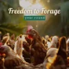 Farm Made Free Range Eggs, 12 pcs - Image 2